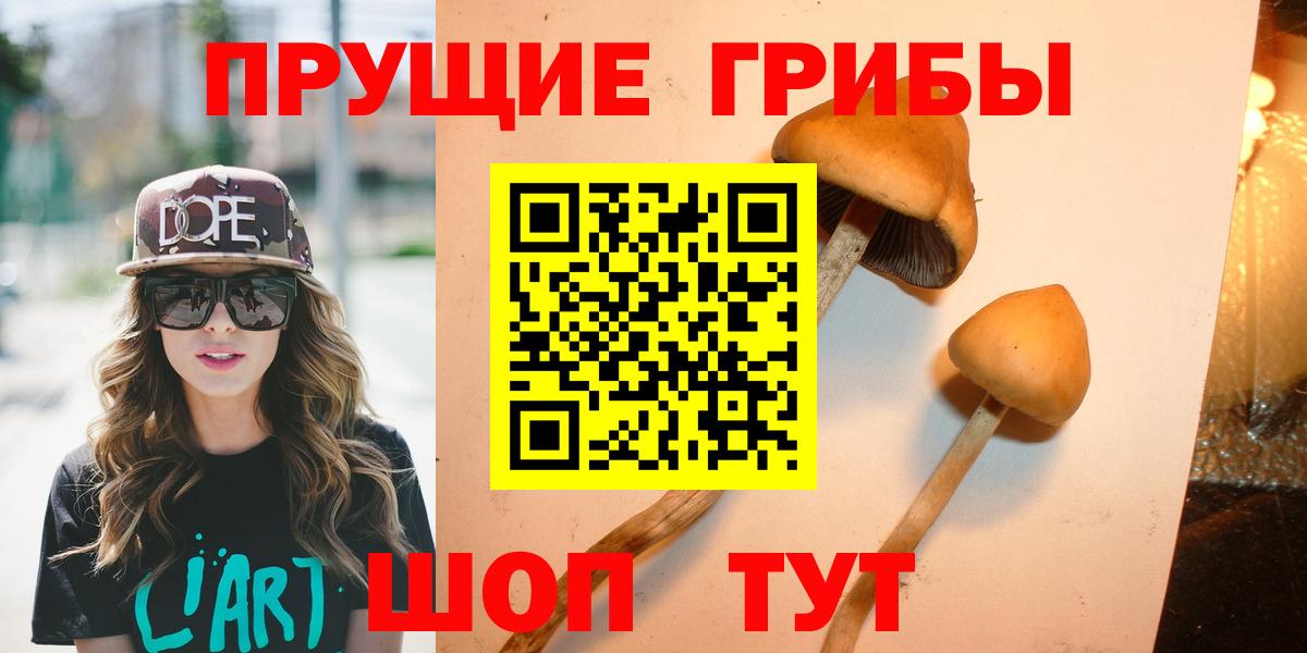 Галлюциногенные грибы мухоморы Железногорск